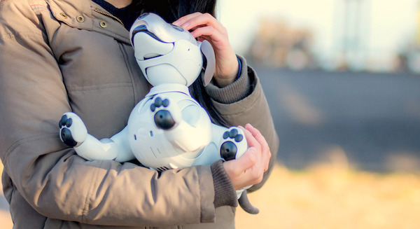 2018年3月15日午後8時「aibo」がソニーストアオンラインで限定販売！ 画像