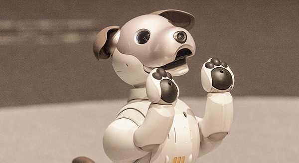 「aibo」がシステム・アップデート、「My aibo」接続/Wi-Fi設定/充電など不具合の改善 画像