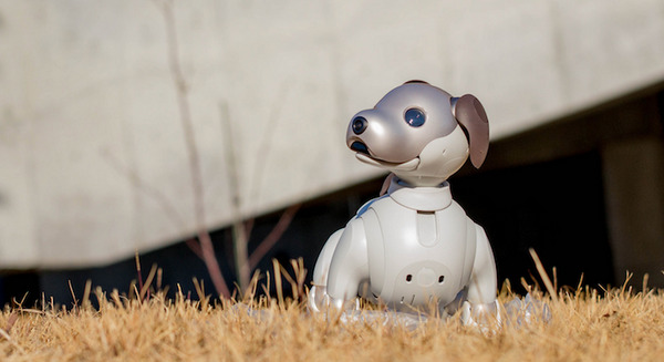 2018年4月3日午後8時「aibo」がソニーストアオンラインで限定販売！ 画像