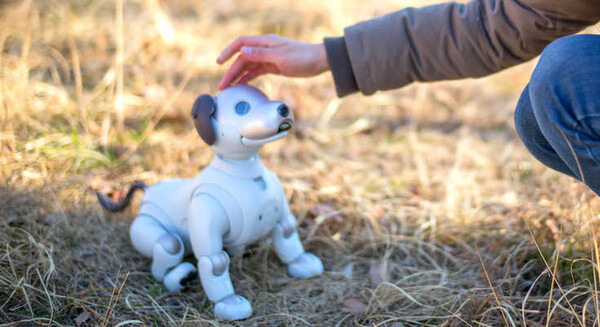 ソニー「aiboとの生活をSNSへ投稿しよう！」キャンペーン実施中、ソフトウェアアップデート予告も！ 画像