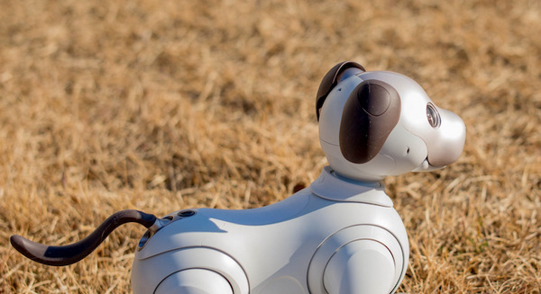 「aibo」がシステム・アップデート、「ふるまい」機能追加、写真撮影機能のオン/オフなどその他機能改善へ【Ver 1.10】 画像