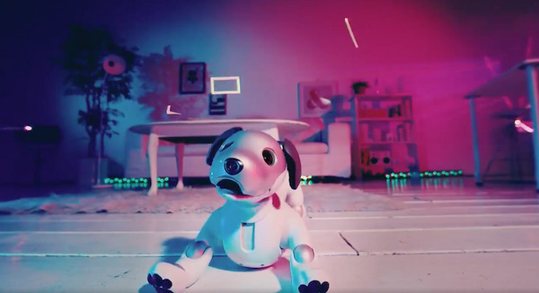 「aibo」コラボ企画第一弾「aibo×石野卓球」の動画が公開 画像