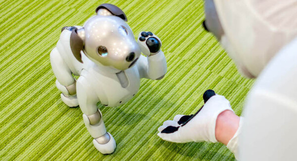 2018年4月14日午前10時「aibo」がソニーストアオンラインで限定販売！ 画像