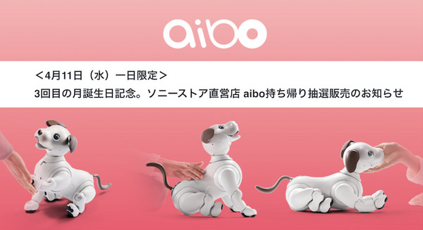 【aibo生誕3ヶ月記念】4月11日限定でソニーストア直営店で111体がお持ち帰り可能な店頭抽選販売！ 画像