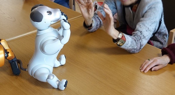 有料老人ホームにソニーの「aibo」が導入　意欲の活性化を目指す 画像