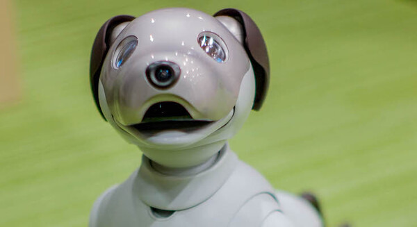 2018年4月25日午後8時「aibo」がソニーストアオンラインで限定販売！ 画像
