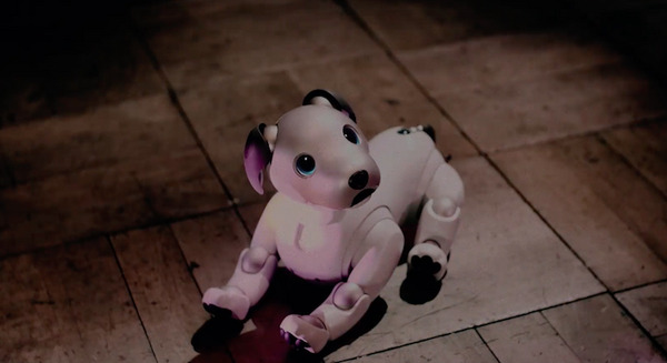 aiboのアーティストコラボ第2弾は宇多田ヒカル初プロデュースのアーティストと 画像