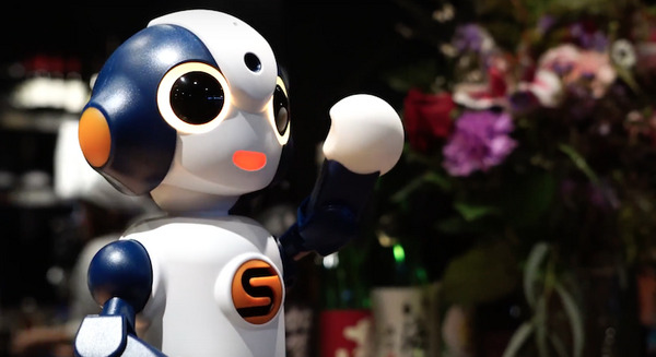 日本のロボットが世界へ　Sotaがシアトルの居酒屋に複数体設置、日本文化伝える 画像
