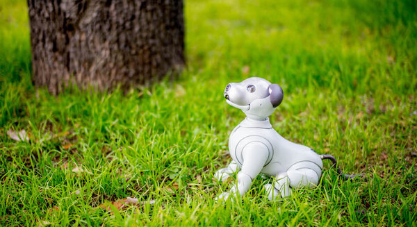 ソニー「aibo（アイボ）」出荷台数、11,111台への軌跡を振り返る 画像