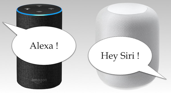 【そりゃそうだ】赤ちゃんの名前に「Alexa」が不人気に 画像