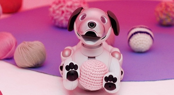 【本日公開】aiboが可愛く歌って踊る！aiboとナカコーがコラボしたミュージックビデオ「aibo×Koji Nakamura」 画像