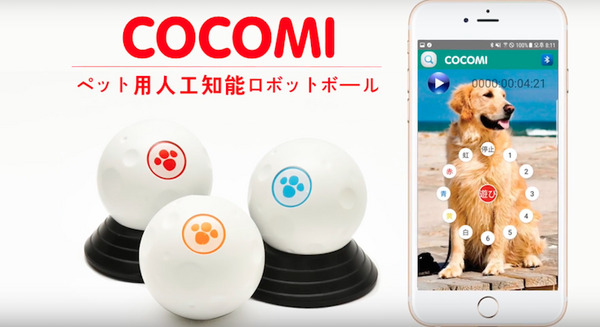 ペット向け人工知能ロボットボール「COCOMI」、Makuakeで資金調達中！ 1400%超えの大人気 画像