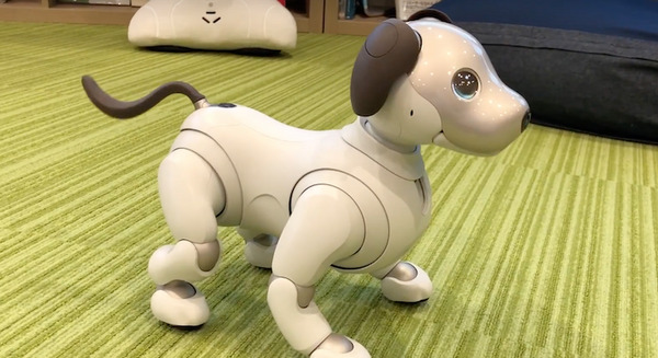 【動画あり】aiboに2つの新たな「ふるまい」が登場！ aiboが3分経ったら教えてくれる？ 画像