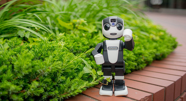 入札価格は3万円から！ シャープの「ロボホン」、オークション形式でモニター販売開始 画像