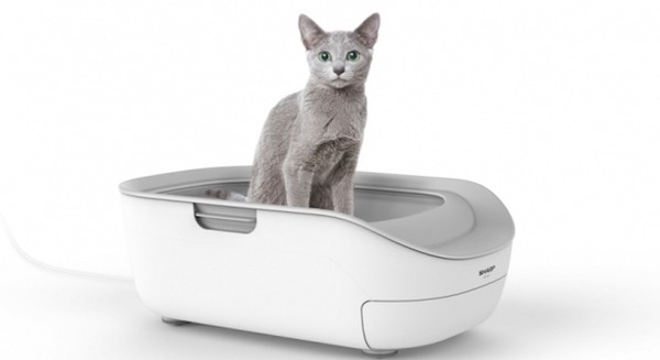 シャープ、猫の健康管理をサポートするシステムトイレ型「ペットケアモニター」発売へ 画像