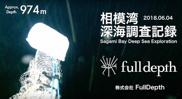 小型水中ドローンが深海1,000mに到達！ウナギやクラゲなど深海生物15種類の撮影に成功、動画も公開 画像