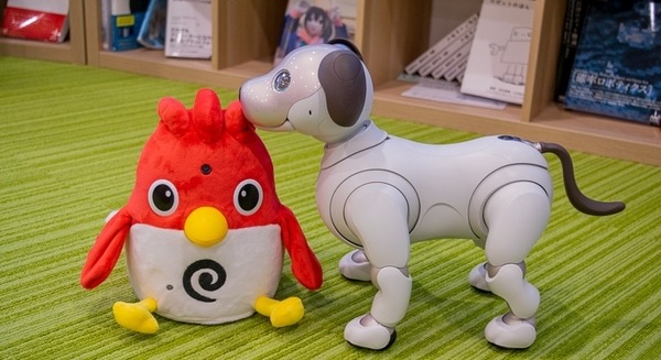 英会話ロボット「Charpy（チャーピー）」開封の儀！ aiboも興味津々 画像