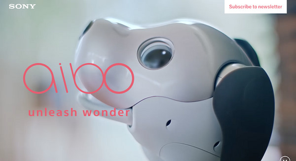 aibo、アメリカで9月発売へ　アメリカ人の反応「可愛い」「需要があるかは疑問」 画像