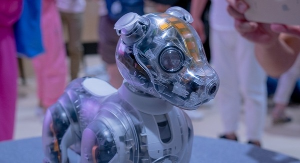 第一回「aiboファンミーティング」レポート　中が丸見えの「スケルトンaibo」の初展示も　#aibo 画像