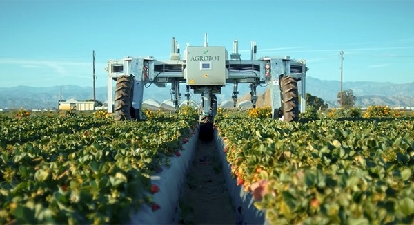 イチゴを摘む巨大ロボット！NVIDIAのGPUとAI関連技術を使ったスマート農業のロボット自動化事例 画像