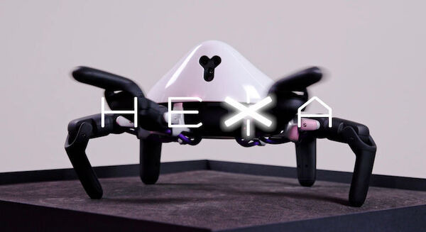 プログラミングができるクモ型ロボット「HEXA」、Kibidangoにて資金調達開始　目標額は520万円 画像