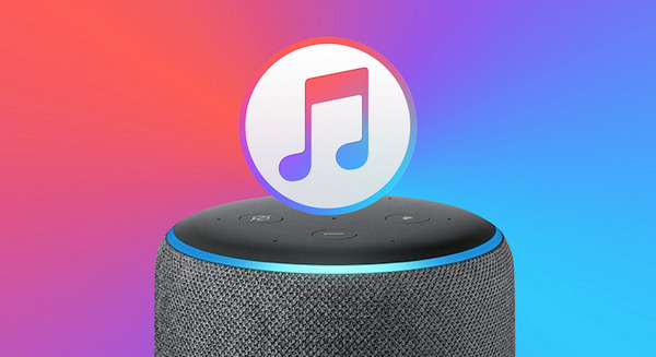 【朗報】アメリカのAmazon EchoでApple Musicの再生が可能に！ 画像