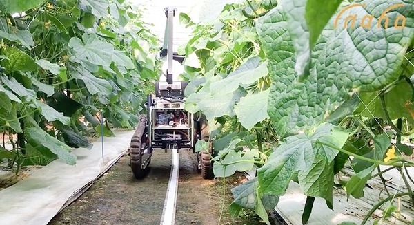 【農業の自動化】AI自動野菜収穫ロボットの動画を公開！スマート農業で「inaho」がX-Tech Innovatin2018最優秀賞を受賞 画像