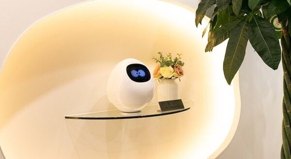 企業の来客対応で活躍する「受付Tapia」、特別パックをAmazonで販売開始! 画像