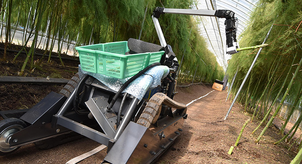 野菜の収穫をAIロボットで自動化、「inaho」がスマート農業で佐賀県に進出、世界最先端の農作業体型の構築を目指す 画像