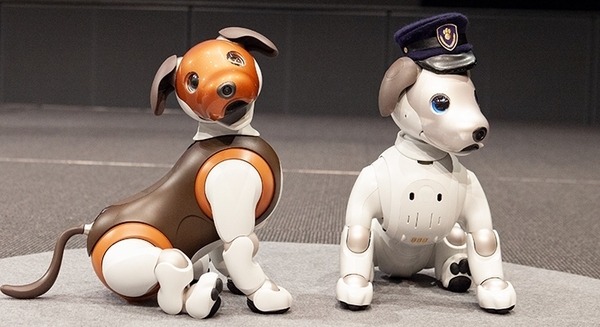 ソニーのアイボ、最新アップデートで遂に「aiboのおまわりさん」に対応！ 画像