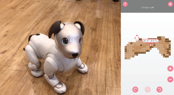 【動画あり】「aiboのおまわりさん」にオフィス内のパトロールをしてもらった！ 画像