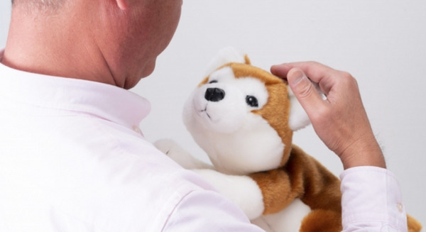 秋田犬型のコミュニケーションロボット「なでなでワンちゃん秋田犬HACHI」、3月25日より販売開始　価格は8,800円 画像