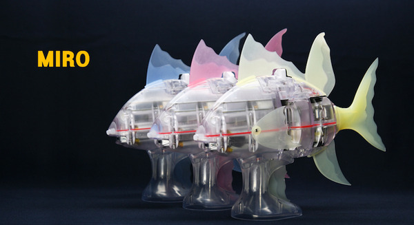 ロボットフィッシュ「MIRO-5」が発売　自動遊泳アルゴリズムを搭載 画像