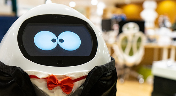 執事見習いロボット「タピ太」実機レビュー！高齢者や家族向け会話ロボットとしてユーキャンが販売 画像