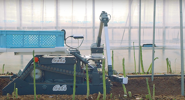 inahoの野菜収穫ロボット、リリース直前の最新動画を公開、収穫時間が半減、スリム化、積載量は10倍 画像