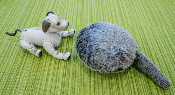 ユカイ工学のしっぽ型ロボット「Qoobo」、累計販売台数1万匹を突破！ 画像