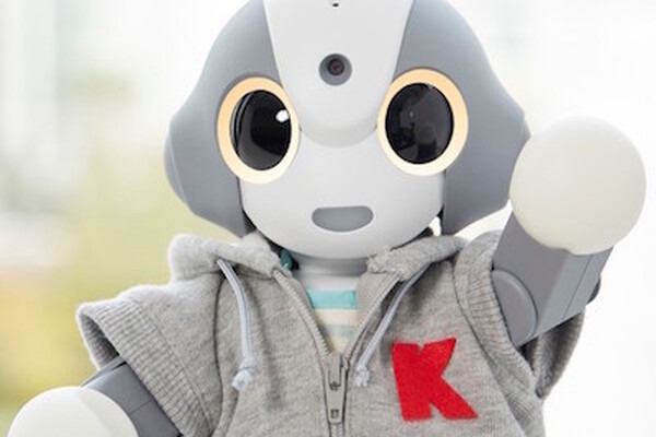 生活密着型ロボット「Kibiro」を開発するそうです。 画像