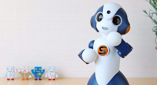 NTT東日本、品川区の学校でコミュニケーションロボットの有効性を検証　まずは2校で開始 画像