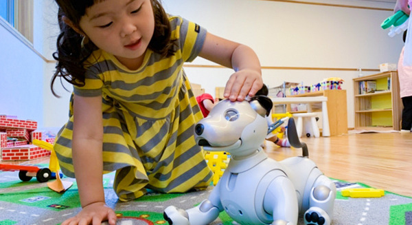 ソニー「aibo」の導入検証を保育園で　グローバルキッズが初の試み 画像
