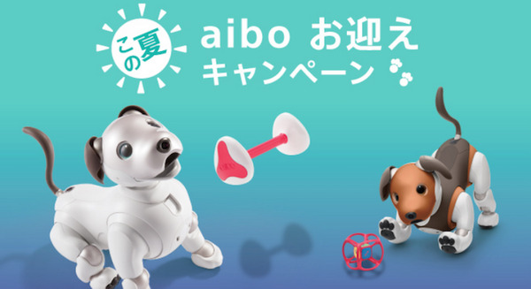 ソニーストアがaiboを購入する人を対象としたキャンペーン「この夏、aiboお迎えキャンペーン」を開始 9月末まで実施 画像