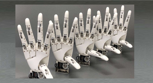 単純制御でさまざまな物をつかむ5本指ロボットハンド「F-hand」NEDOらが研究機関に無償貸与へ 画像