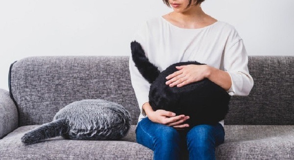 Qooboに新色シルキーブラックを追加　ファン投票で新色とカラーの名称を決定　約半年で1万尾以上を出荷するヒット 画像