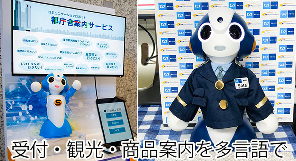 受付や観光、商品紹介やメニューを多言語でロボット「Sota」がご案内　最新の会話技術を搭載したNTTテクノクロスの「AMARYLLIS」(アマリリス) 画像