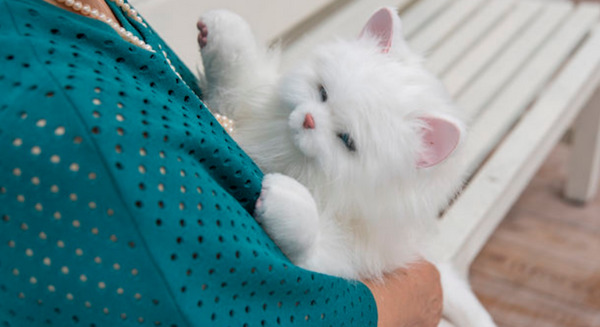 シニア向け猫型ペットロボット「あまえんぼうねこちゃん」2月22日より販売開始 画像