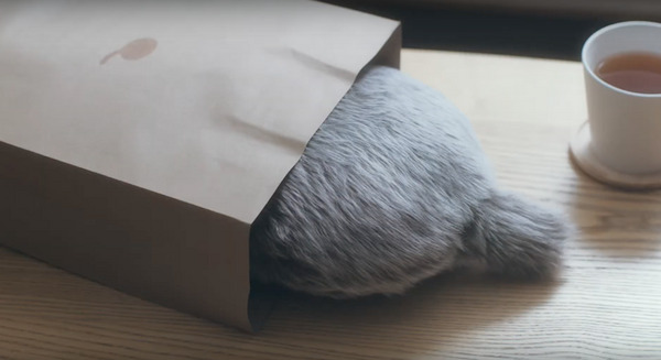 小動物みたいに「鼓動を感じる」小さいクーボ「Petit Qoobo」(プチ・クーボ) ユカイ工学がクラウドファンディング開始 画像