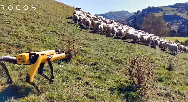 ボストンダイナミクスの「SPOT」を農業や牧場で活用　Rocosのロボット操作プラットフォームでスキルを向上中 画像