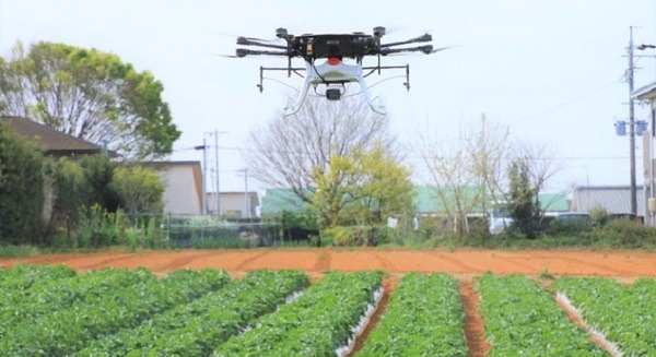 ヤマハ発が自動飛行ドローンによる散布の実証実験　JAなどと「スマート農業」推進　静岡県浜松市のばれいしょ畑にて 画像