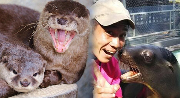 高知県の桂浜水族館「オンライン水族館」を出展へ　カワウソに餌やり　日本最大級の親子向け「親子でオンライン体験フェス」 画像