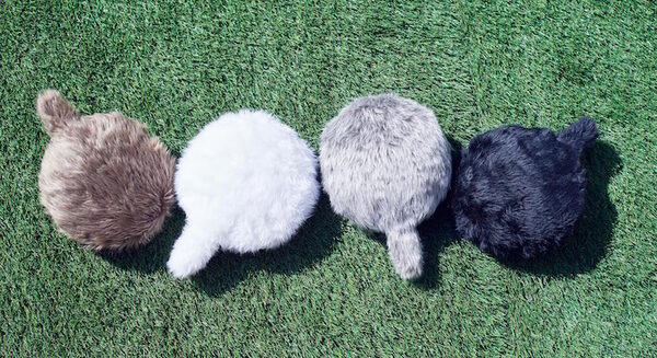 小さなしっぽロボット「Petit Qoobo」(プチ・クーボ) 予約販売の受付開始！音に反応し、耳を当てると鼓動を感じる生きもの感 画像