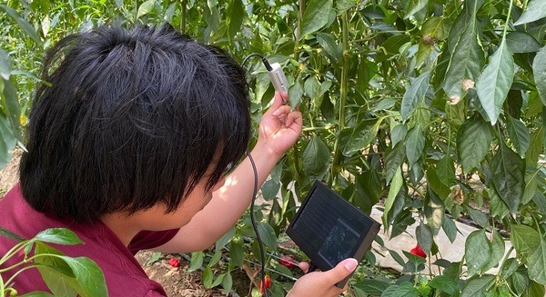 ​スマート農業の技術開発と人材育成を進める宮崎県新富町　「JAアクセラレータープログラム」に2社が採択されたことを発表 画像